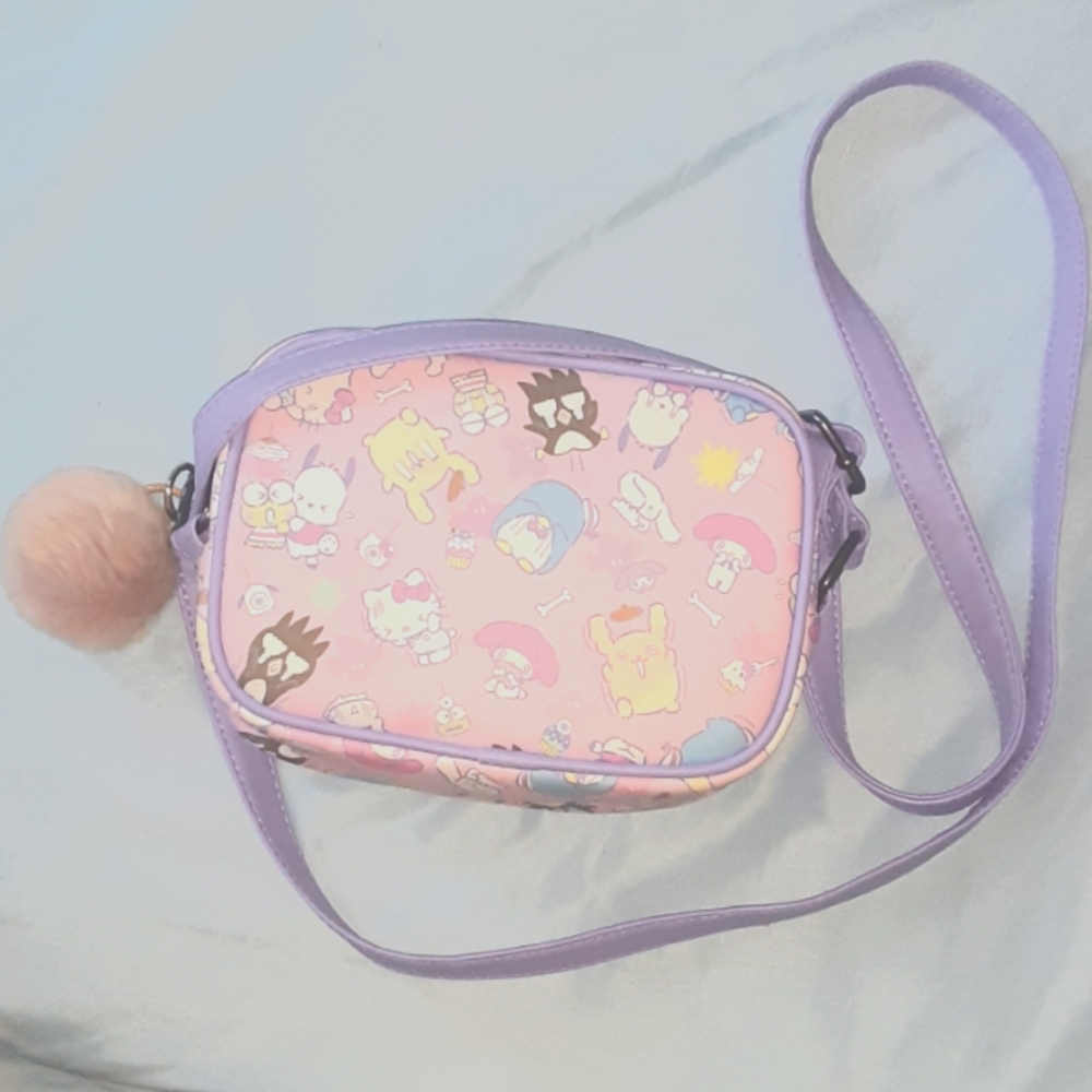 Saniro purse